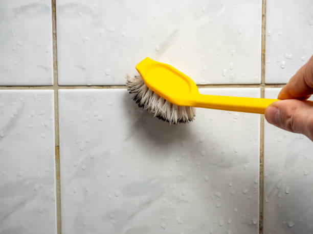 Home Mold Removal in Chesilhurst, NJ