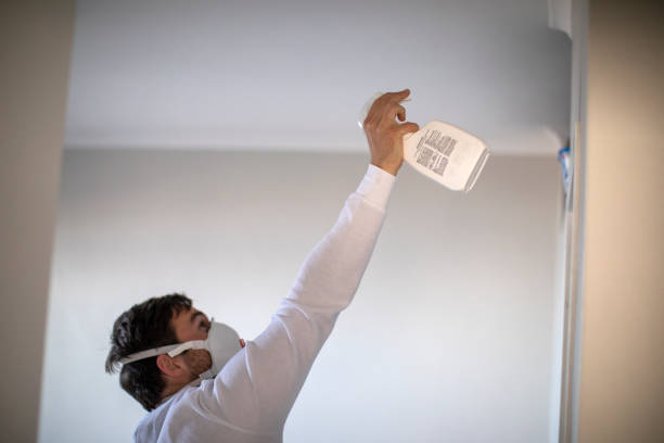 Attic Mold Removal in Chesilhurst, NJ