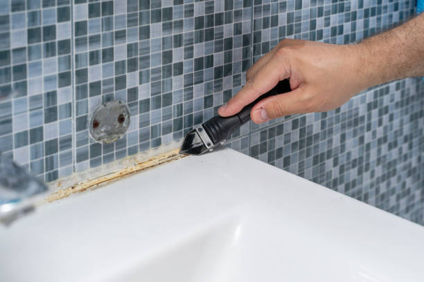 Professional Mold Removal in Chesilhurst, NJ